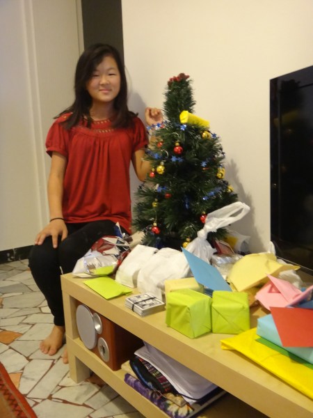 Our smallest Christmas Tree ever. 